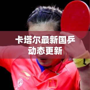 卡塔爾最新國乒動態(tài)更新