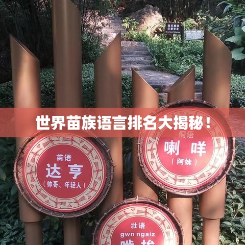 世界苗族語言排名大揭秘！