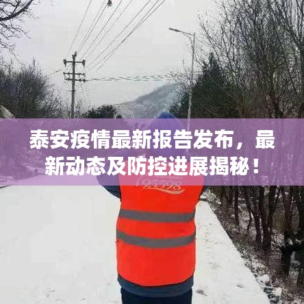 泰安疫情最新報告發(fā)布，最新動態(tài)及防控進展揭秘！