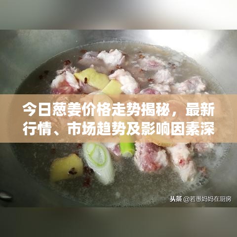 今日蔥姜價(jià)格走勢揭秘，最新行情、市場趨勢及影響因素深度解析