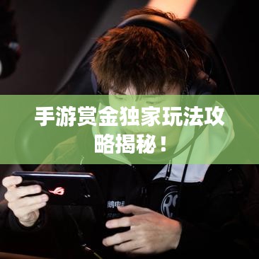 手游賞金獨(dú)家玩法攻略揭秘！