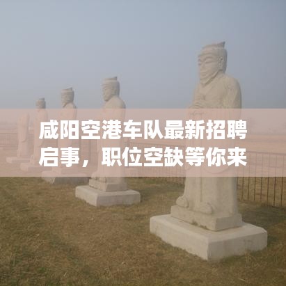 咸陽空港車隊(duì)最新招聘啟事，職位空缺等你來挑戰(zhàn)！