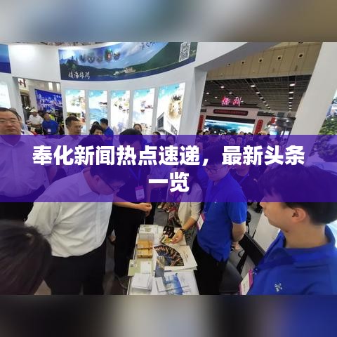 奉化新聞熱點(diǎn)速遞，最新頭條一覽