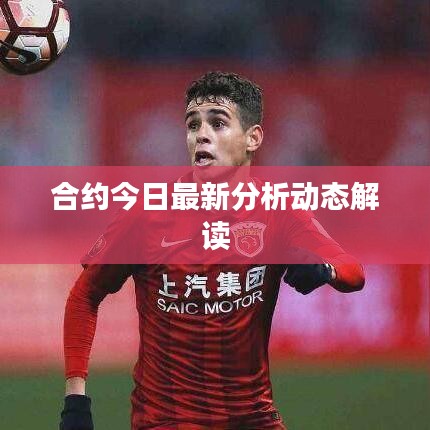 合約今日最新分析動態(tài)解讀